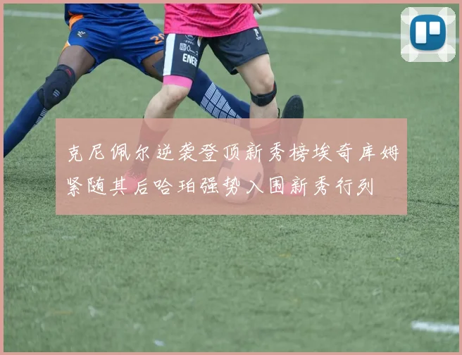 克尼佩尔逆袭登顶新秀榜埃奇库姆紧随其后哈珀强势入围新秀行列