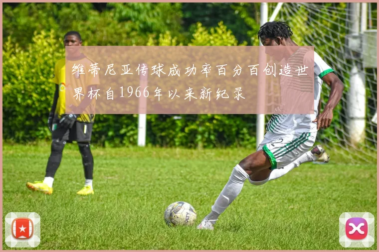 维蒂尼亚传球成功率百分百创造世界杯自1966年以来新纪录