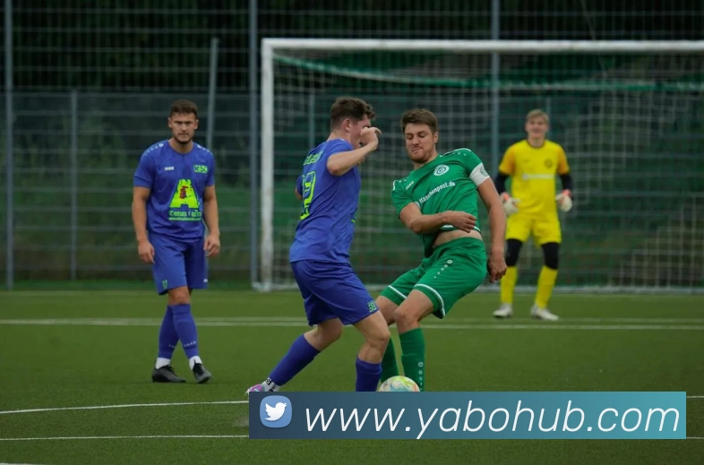 亚博体育平台生态图