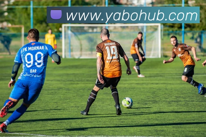 亚博体育全站App